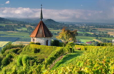 Vigneti in Germania