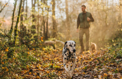 Istria in autunno: non solo tartufi
