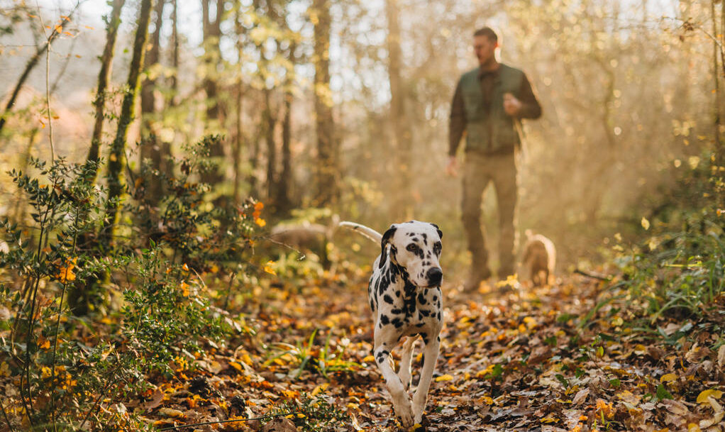 Istria in autunno: non solo tartufi