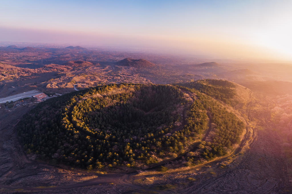 Etna, cratere boschivo @Archivio Regione Siciliana - Salvo Olimpo