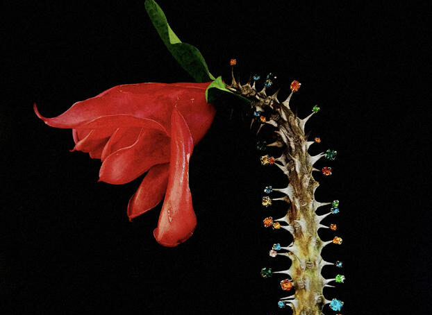 Orticolario 2026,Tra i luoghi iconici con Les Imaginaires, Ph. Lau Cabantous