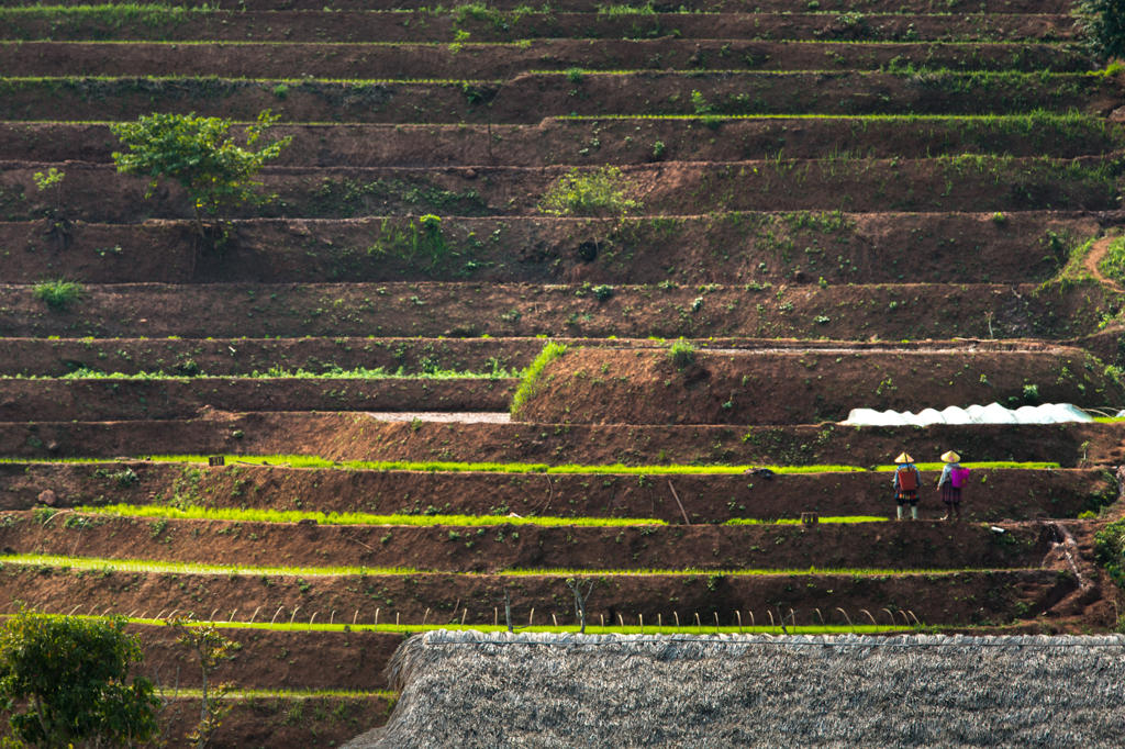 @avana retreat, Vietnam