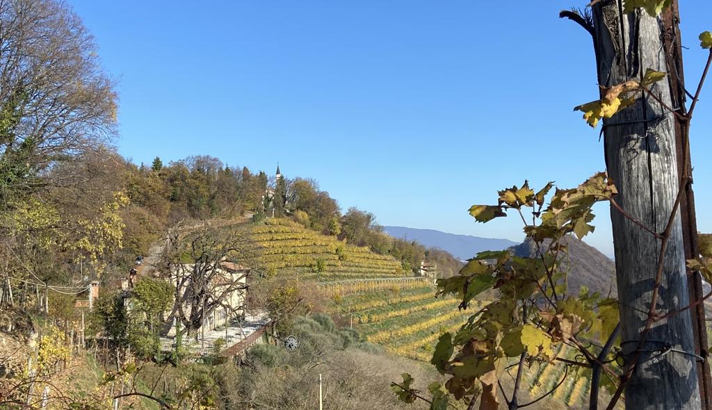 Andreola, Rive di Soligo